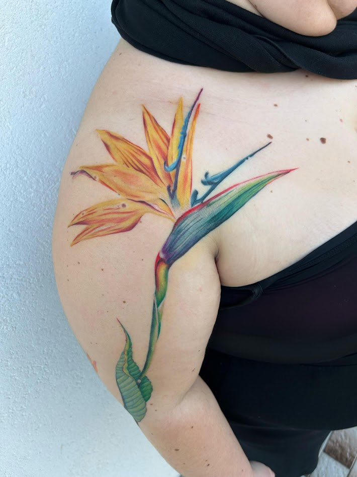Bird of Paradise — Sole at LayLow Tattoo Zakynthos